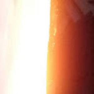 Meet your Posher, Preston